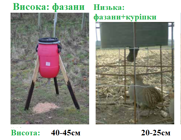 Варіанти годівниць