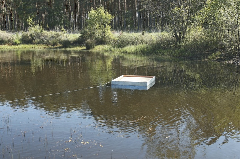 Entenfloss Rahn 089 Kopie