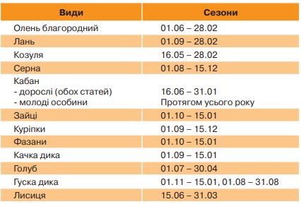 Stroky