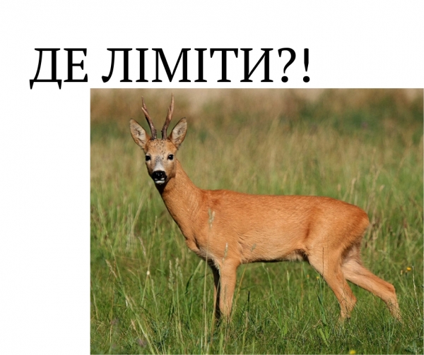 Звернення щодо Лімітів