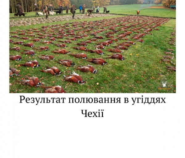 Програма реформування - "Блок Б" мисливські господарства (Частина 2)