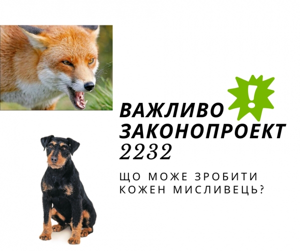 Щодо Законопроекту 2232 від 04.10.2019