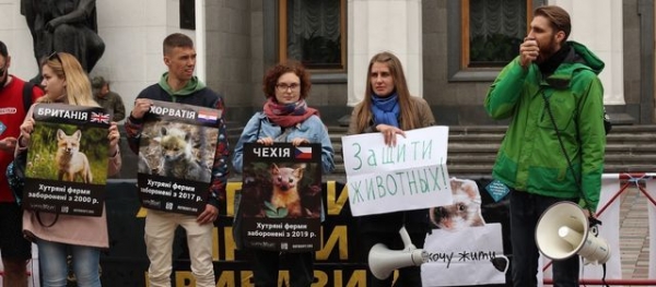 Заборона хутра – все ті ж на манежі