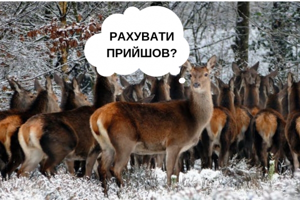 Плани добування