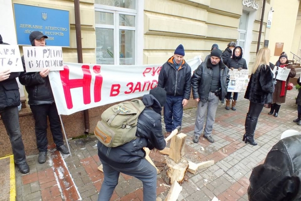 Дроворуби-природолюби