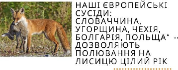 Навіщо полювати на лисиць?