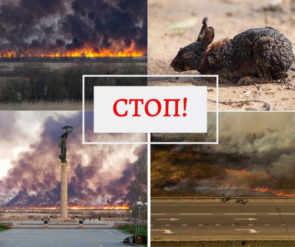 Підпали. «Я – не я, і хата не моя»