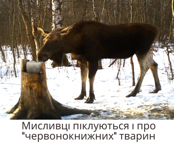 Програма реформування. Крок 2 - мисливці